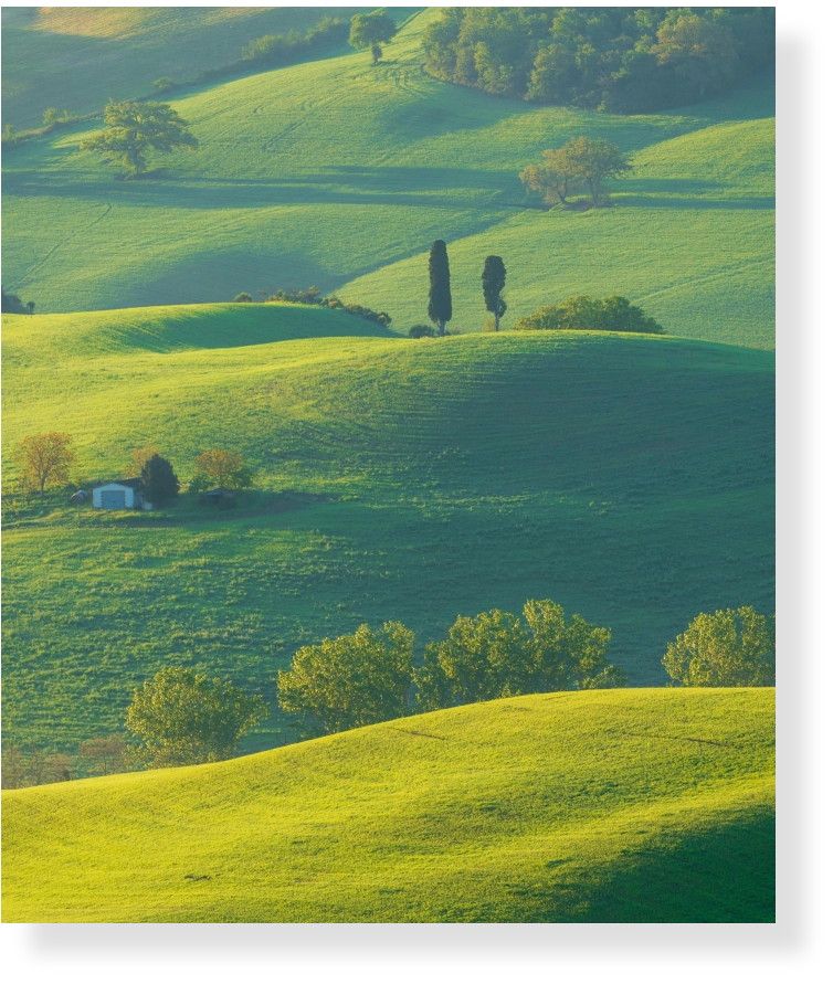 Rolling green hills with trees and a house.